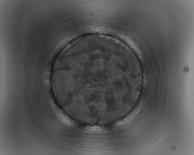 X0000100750449200807031340