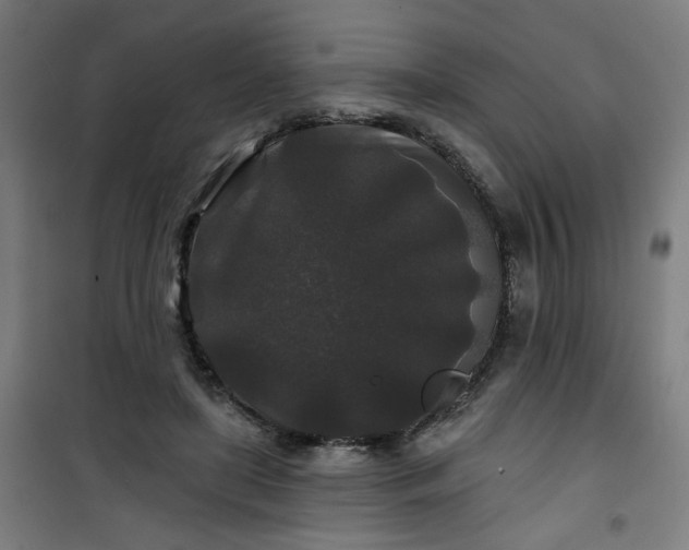 X0000100750451200807031340