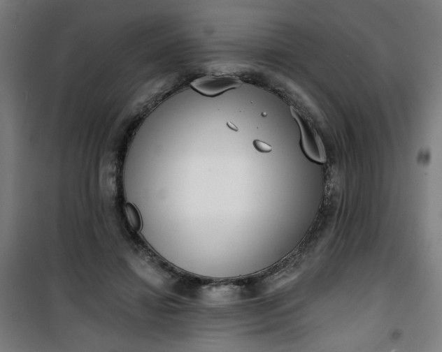 X0000100750452200807031340