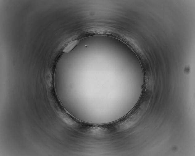 X0000100750453200807031340