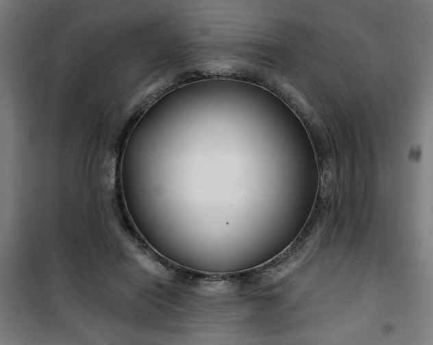 X0000100750454200807031340