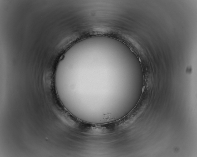 X0000100750455200807031340