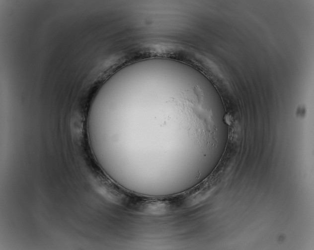 X0000100750456200807031340