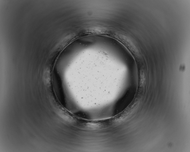 X0000100750457200807031340