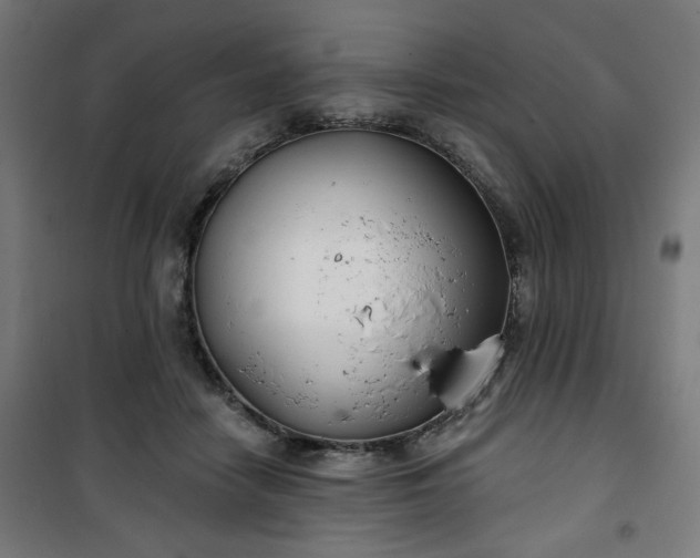 X0000100750458200807031340