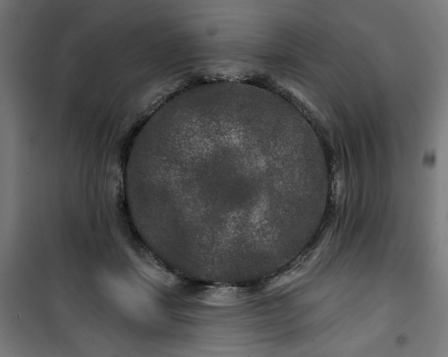 X0000100750459200807031340