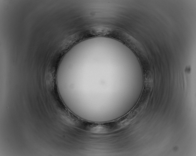 X0000100750460200807031340