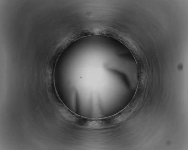 X0000100750461200807031340