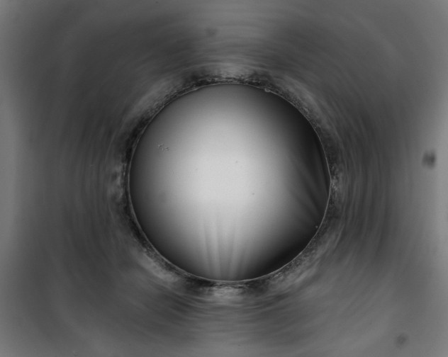 X0000100750462200807031340