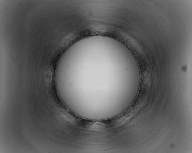 X0000100750463200807031340