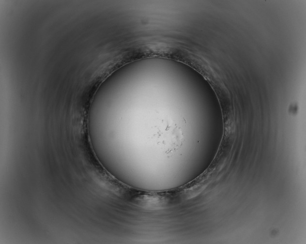 X0000100750464200807031340