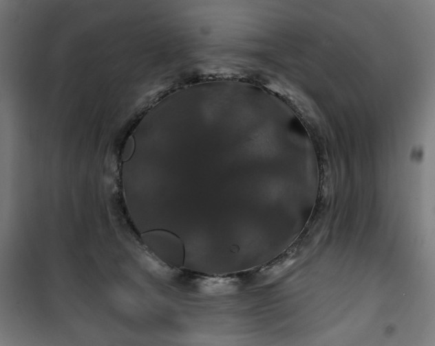 X0000100750465200807031340