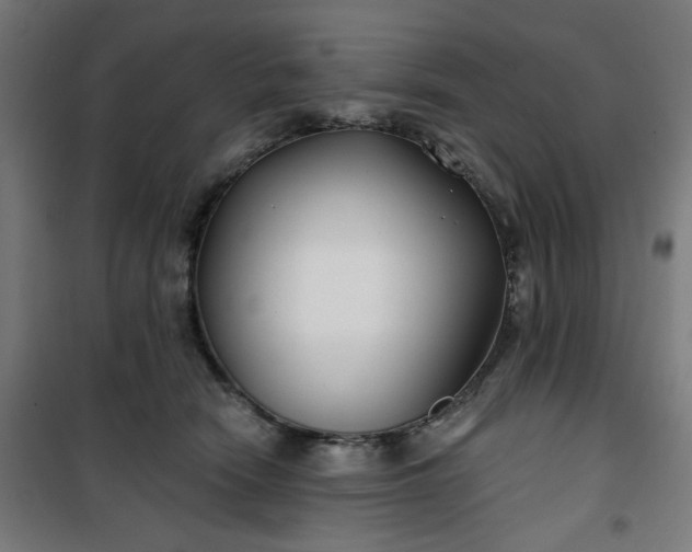 X0000100750466200807031340