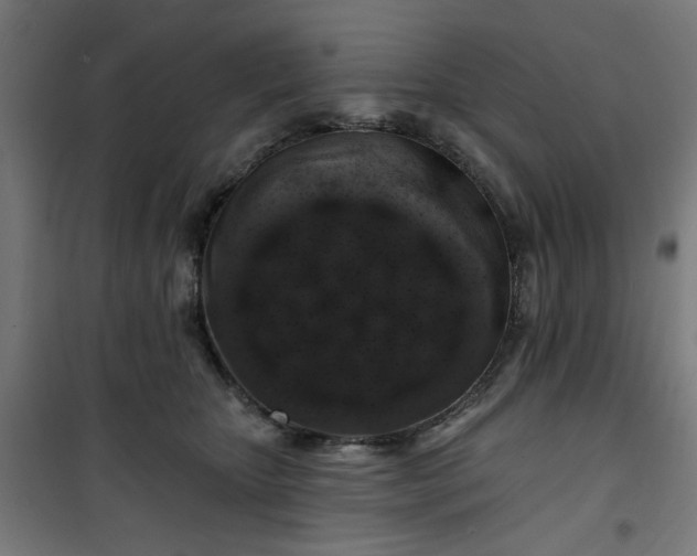 X0000100750467200807031340