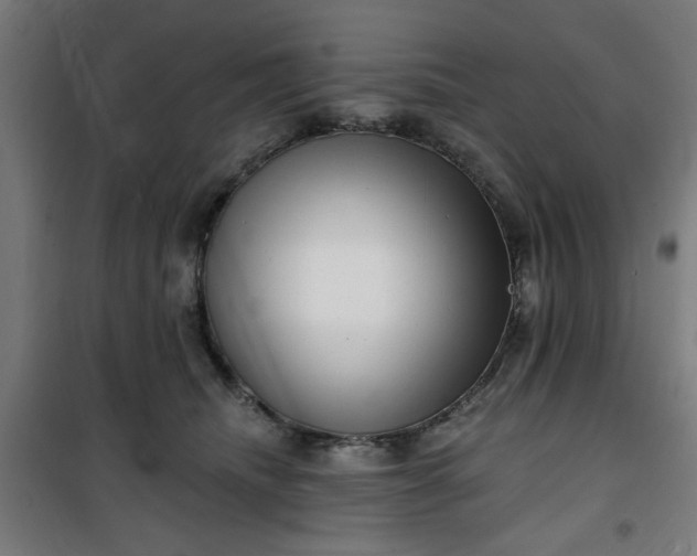 X0000100750468200807031340