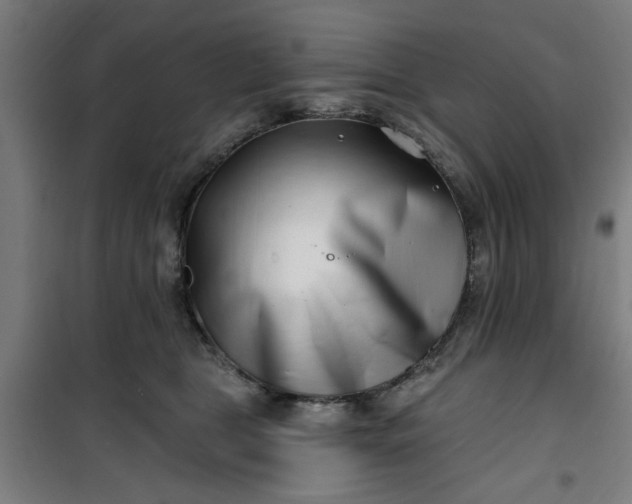 X0000100750469200807031340