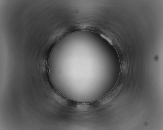 X0000100750470200807031340