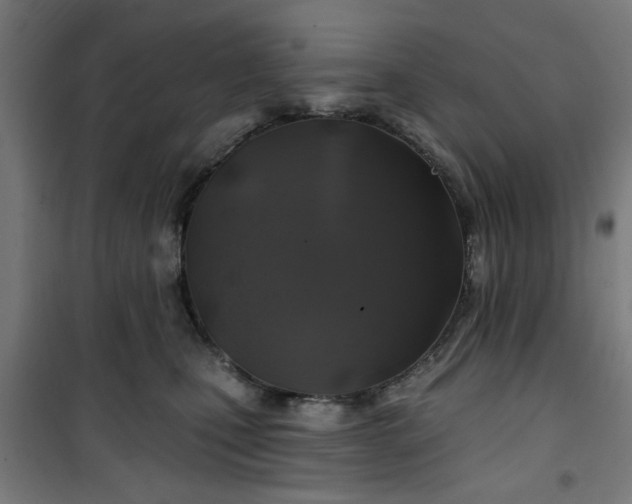 X0000100750471200807031340