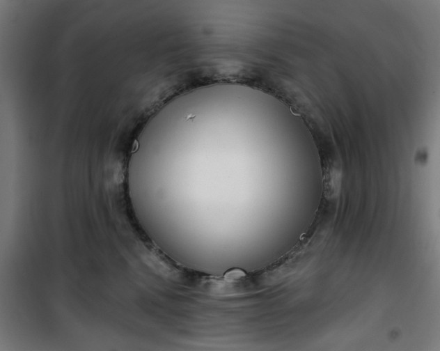 X0000100750472200807031340