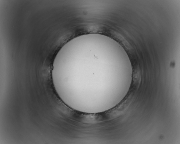 X0000100750473200807031340