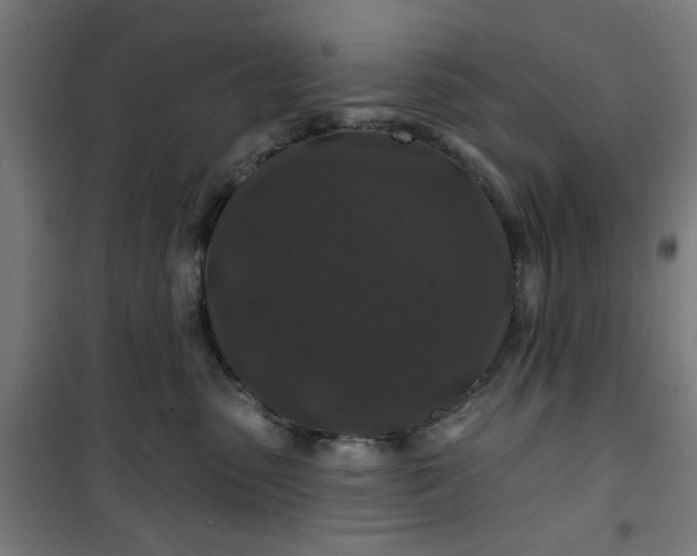 X0000100750475200807031340