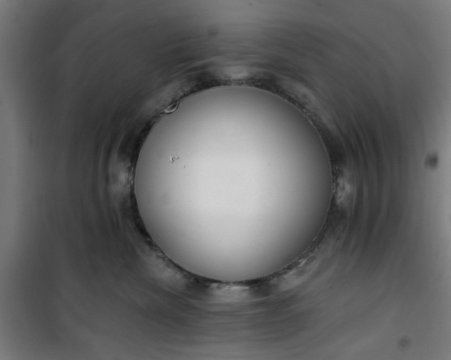 X0000100750476200807031340