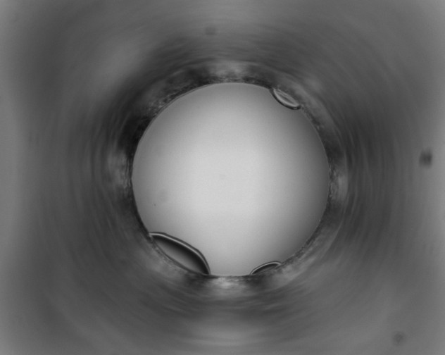 X0000100750477200807031340