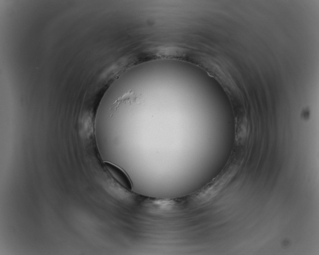 X0000100750478200807031340