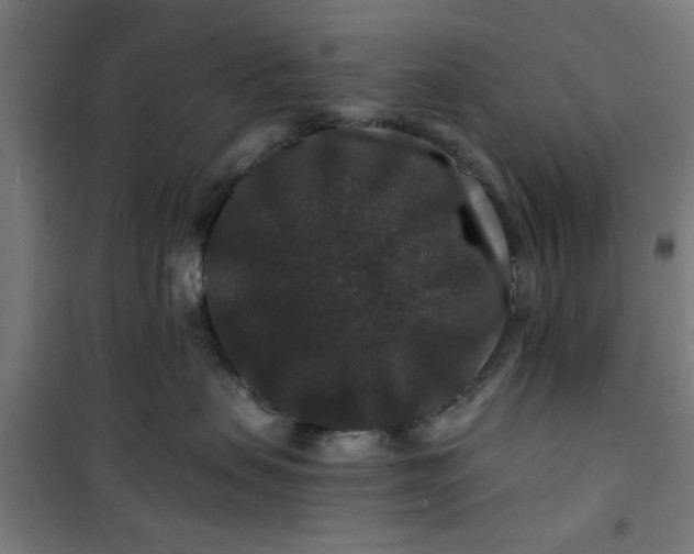 X0000100750479200807031340