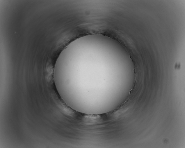 X0000100750480200807031340