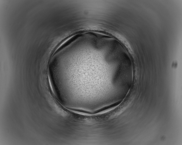 X0000100750481200807031339