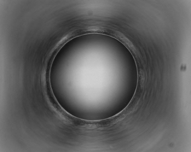 X0000100750482200807031339