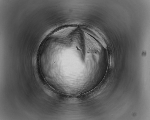 X0000100750483200807031339