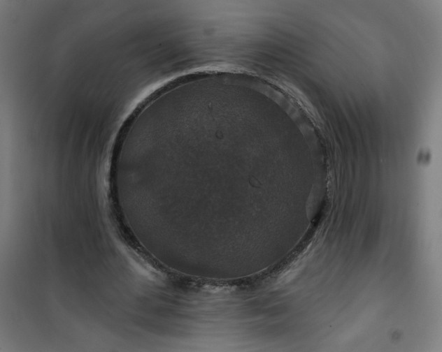 X0000100750484200807031339