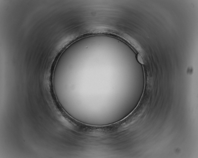 X0000100750485200807031339