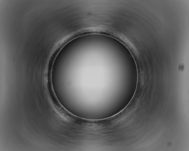 X0000100750486200807031339