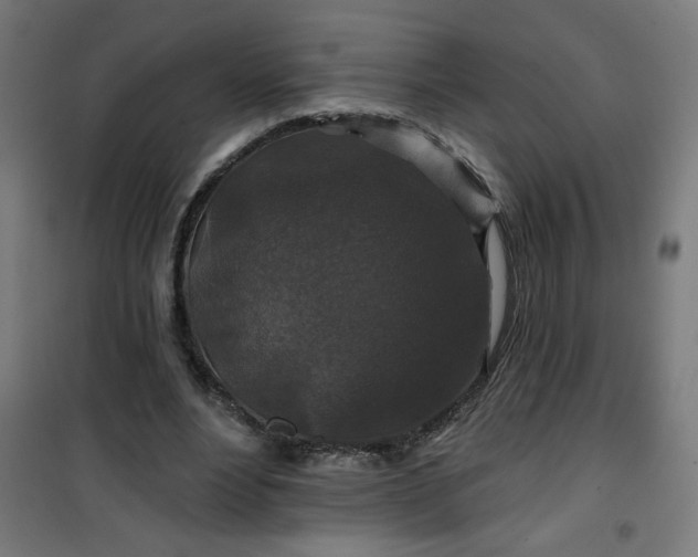 X0000100750488200807031339