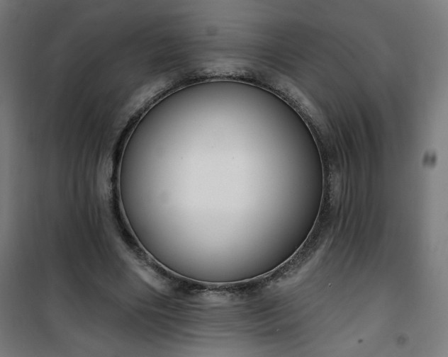 X0000100750490200807031339