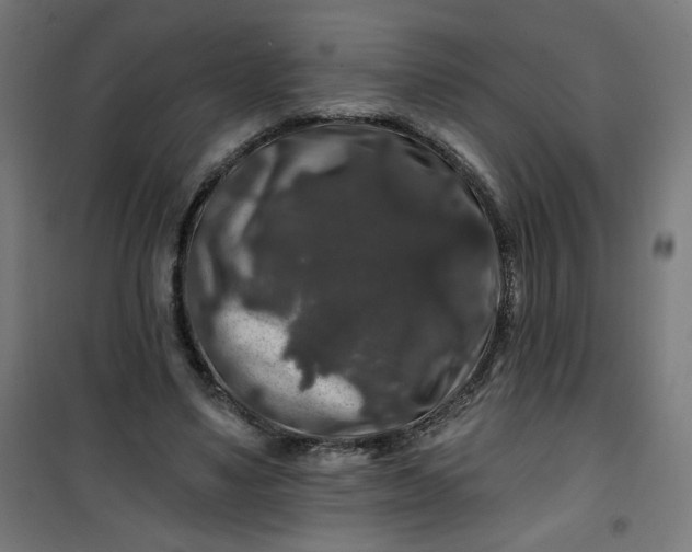 X0000100750491200807031339