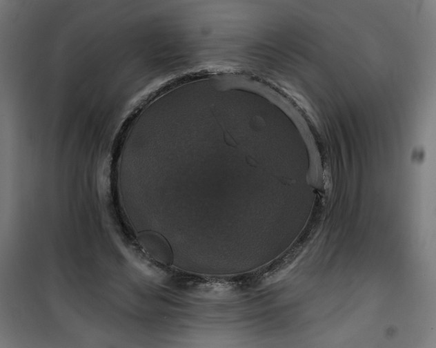 X0000100750492200807031339