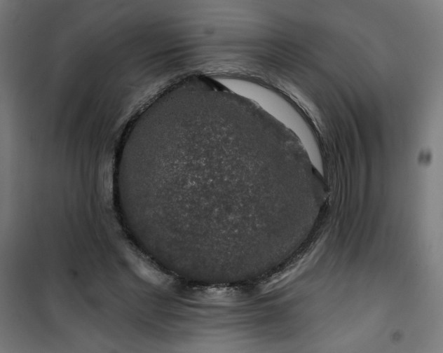 X0000100750493200807031339