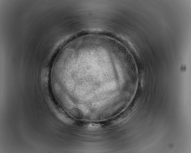 X0000100750495200807031339