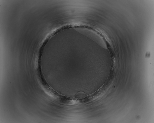 X0000100750496200807031339