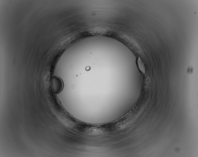 X0000100750498200807031339