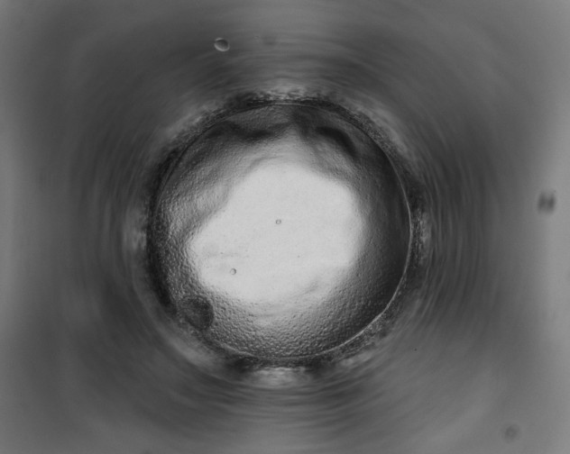 X0000100750499200807031339