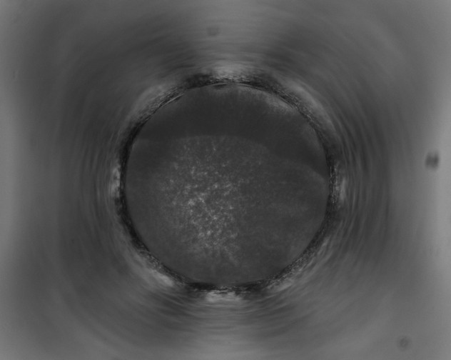 X0000100750502200807031339