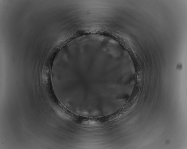 X0000100750503200807031339