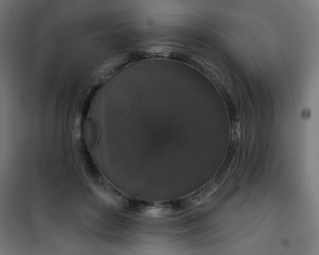 X0000100750504200807031339