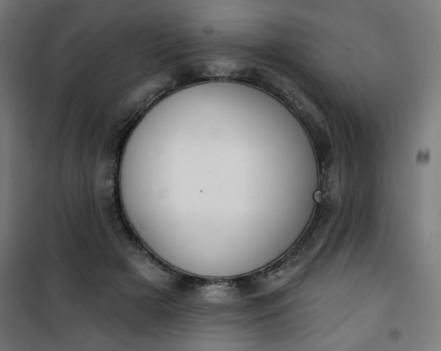 X0000100750505200807031339