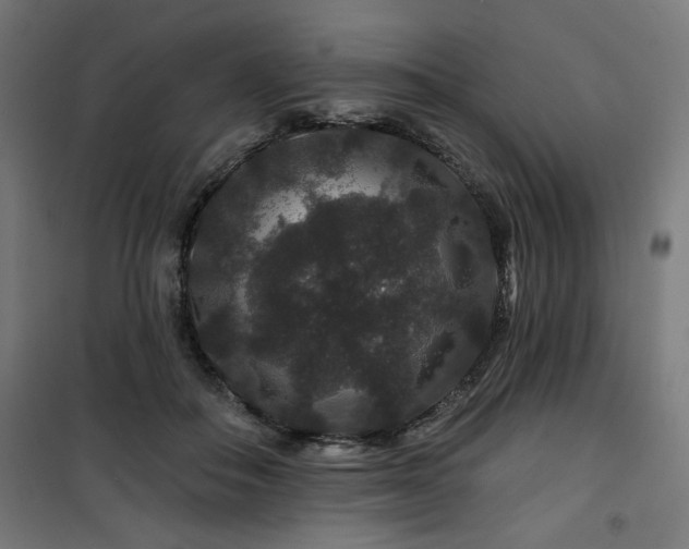 X0000100750506200807031339